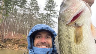 Lake Ouachita Bassmaster Open recap [upl. by Eelyak]