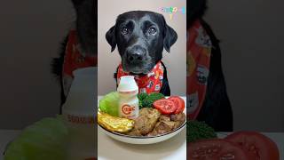 A mukbang ASMR featuring a hearty eating black dog [upl. by Ettennahs]