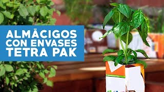 ¿Cómo hacer almácigos con envases Tetra Pak [upl. by Libenson]