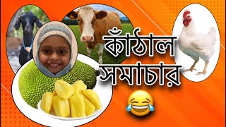 কাঁঠাল সমাচার 😂  Marjia Mimi [upl. by Trimmer]