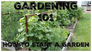 Gardening 101 How To Start A Garden [upl. by Eimme]