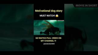 Brave dog story dog movie moviereview fyp short ytshorts film [upl. by Marelya]