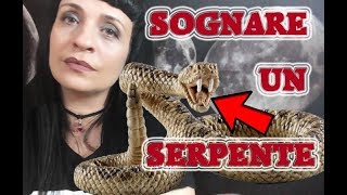 COSA SIGNIFICA SOGNARE UN SERPENTE [upl. by Howie]