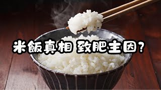 米飯真相？致肥主因大揭秘！ [upl. by Enoek]