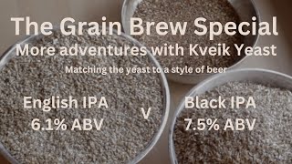 The Grain Brew Special More Adventures with Kveik Yeast [upl. by Yedrahs]