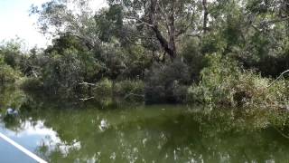 Upstream from Pritchards on the Glenelg [upl. by Dilisio]