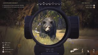 I Survived a Bear Charge Way of the Hunter [upl. by Aliekat]