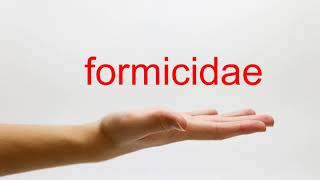 How to Pronounce formicidae  American English [upl. by Ykcim]