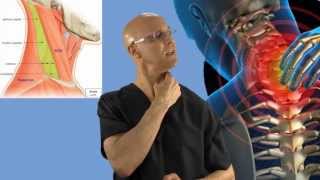 90Second Relief Technique for a Stiff Neck Wry Neck Torticollis  Dr Mandell [upl. by Lemyt]