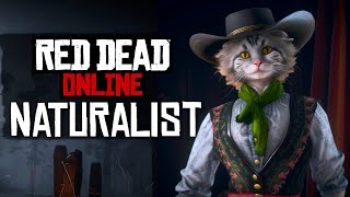 Leveling Up Naturalist Role in Red Dead Online 🐱 Stream [upl. by Misaq5]