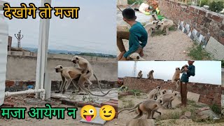 Bahut pyare bandar wala video he bandar wala comedy video  bandar wala gana  bandar bandar [upl. by Doherty33]