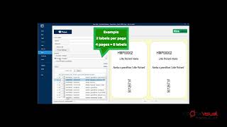 Nicelabel Controlling the Number of Print Labels [upl. by Elaval]