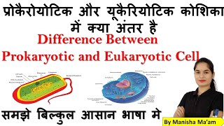 Difference between Prokaryotic and Eukaryotic Cells  Prokaryotic vs Eukaryotic Cells in hindi [upl. by Harvison]