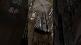 Regensburg Cathedral Dom St Peter A stunning Gothic cathedral known for its impressive stained [upl. by Mauldon802]