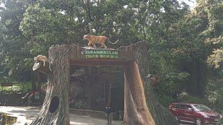 Topslip amp Parambikulam Wildlife Tourism [upl. by Atisor]