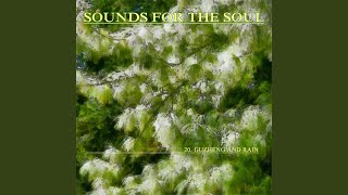 Sounds for the Soul 20 Guzheng and Rain [upl. by Shu]