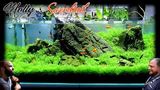 Making a 4ft Carpet Aquarium for Mollies and Swordtails [upl. by Kendal]