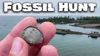 3in1 Fossil Hunting with Michigan Rocks [upl. by Akena]