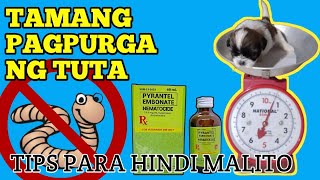 HOW TO DEWORM A PUPPY PAANO MAGPURGA NG TUTA [upl. by Wildee]