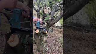 Handheld electric tree cutting scissors [upl. by Lodi]