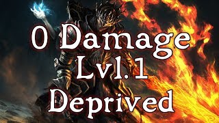 Worlds First 0 Damage Taken SL1 Run Deprived  Dark Souls 3 [upl. by Alayne198]