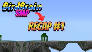 Birdbrain SMP Recap1 [upl. by Gniliem]