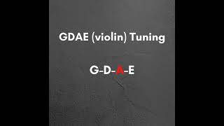 Bass Tuner GDAE Violin Tuning [upl. by Leiser]