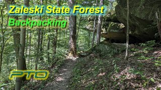 Zaleski State Forest  Backpacking in the Heat [upl. by Nahtanaj211]