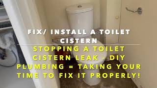 Toilet Cistern  Fixing a Leak and Installing so it Doesnt Leak [upl. by Nylrem]