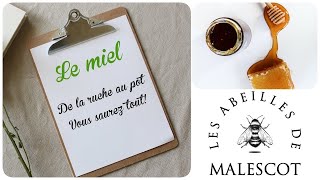 🐝 Tout ce qu’il faut savoir sur le miel  🍯 [upl. by Noicpecnoc]