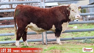 LOT 30 TUMMEL PACKSADDLE T359 S [upl. by Ignatzia]