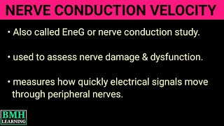 Nerve Conduction Velocity  NCV Test  Electromyography Studies [upl. by Del]