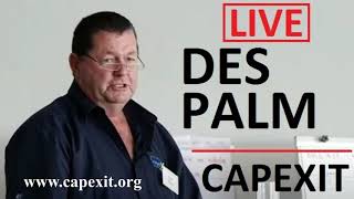 RSG interview with Des Palm CapeXit Director [upl. by Atilrak]