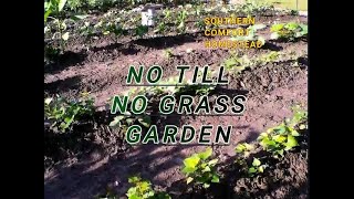 HOW I KEEP GRASS OUT OF MY GARDEN WITH KEY TIPS [upl. by Florette]