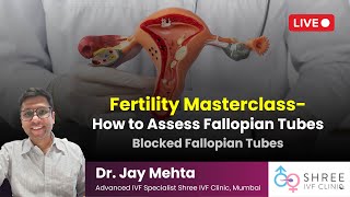 Fertility Masterclass 25  How to Assess Fallopian Tubes  Blocked Fallopian Tubes [upl. by Dlorad147]