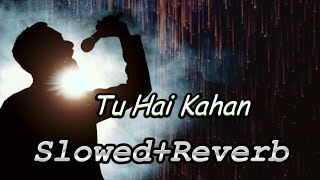 Tu Hai Kahan  With Lyrics  Slowed  Reverb  Song By AUR  Kuch bhi Chalega [upl. by Brnaby888]