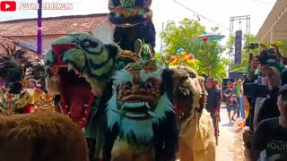 Seblum Kirab Drumband New Pandawa  Live Di Wardoyo kebonagung Demak [upl. by Nagem452]