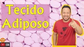 Tecido Adiposo  Características e Funções  Tecido Conjuntivo Especial  Histologia Animal [upl. by Tyrrell]