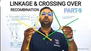 LINKAGE CROSSING OVER amp RECOMBINATION  সহলগ্নতা আৰু পাাৰংগতি PRINCIPLE OF INHERITANCE amp VARIATION [upl. by Rue750]