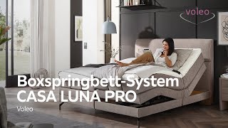 BoxspringbettSystem CASA LUNA PRO – Voleo  XXXLutz [upl. by Llerot]