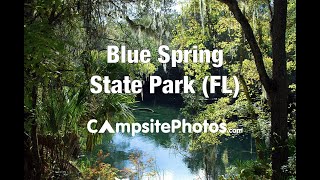 Blue Spring State Park Florida Campsite Photos [upl. by Evita]