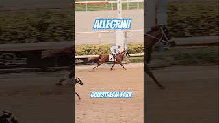 Allegrini wins race 9 giving jockey Paco López his third victory today GulfstreamPark [upl. by Alocin]