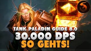 30k DPS So gehts  Paladin Tank Guide 80 Deutsch [upl. by Esdras]