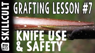 Grafting Series Lesson 7 Knife Use and Safety [upl. by Adaha]