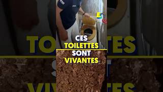 Ces toilettes sont vivantes  😳🪱 shorts [upl. by Bagger209]