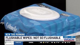 Local plumber advises against flushing “flushable” wipes 1 [upl. by Allix]