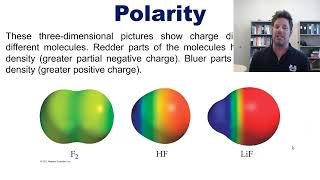 Chapter 8 – Part 4 Electronegativity Polarity and Bond Enthalpy [upl. by Zucker]