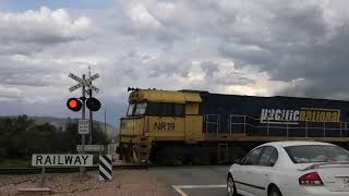 Horrocks Pass Rd Railway Crossing Winninowie [upl. by Cesar]