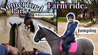 SOMERFORD PARK RIDE WITH WhizzywelshEventing  Dublin does not act her age  KATIELEWIS100 [upl. by Garihc]