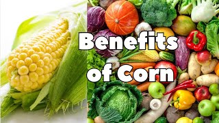 Benefits of CORN Very Beneficial [upl. by Jaco]